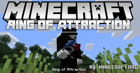  Ring of Attraction  Minecraft 1.15.1