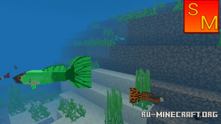  Guppy Fish  Minecraft PE 1.14
