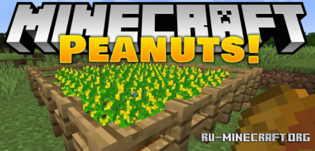 Peanuts  Minecraft 1.15.2