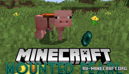  Mounted Pearl  Minecraft 1.15.2