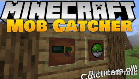  Mob Catcher  Minecraft 1.15.2