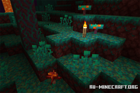 Багровый и искажённый грибок в Minecraft 1.16