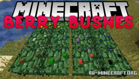  Berry Bushes  Minecraft 1.15.2