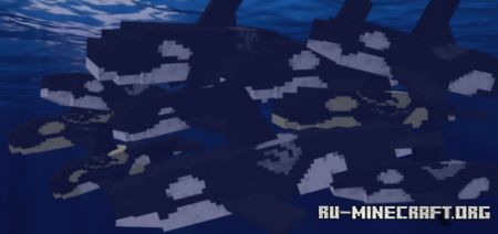  Dolphins Plus  Minecraft PE 1.14