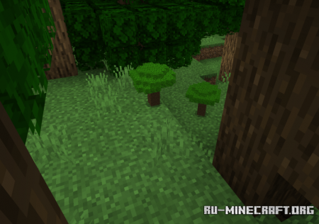  MiniTrees  Minecraft PE 1.16