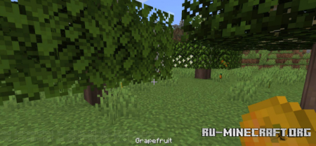  Fruit Trees  Minecraft 1.15.2