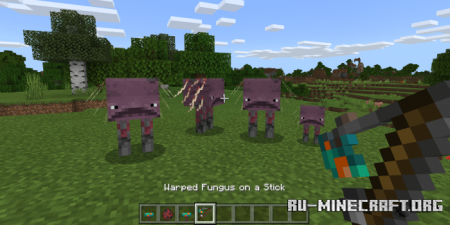  Strider  Minecraft PE 1.16