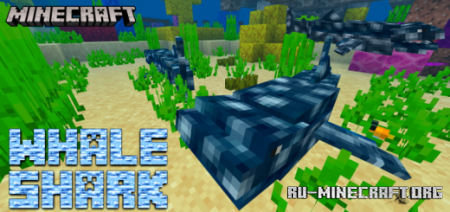  Whale Shark  Minecraft PE 1.14