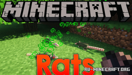 Rats  Minecraft 1.15.2