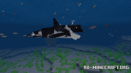  Orca - Killer Whale  Minecraft PE 1.14