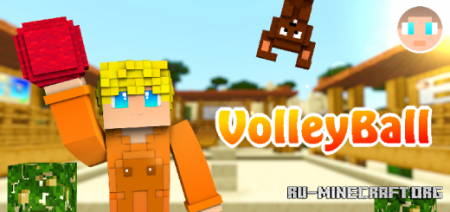 VolleyBall  Minecraft PE