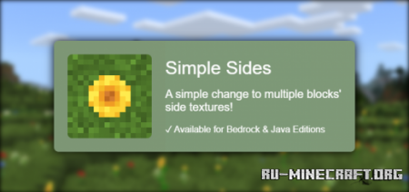  Simple Sides  Minecraft PE 1.16