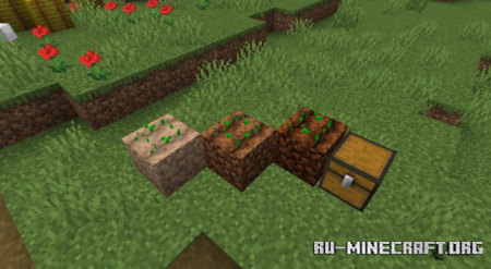  Adaptive Agriculture  Minecraft 1.15.2