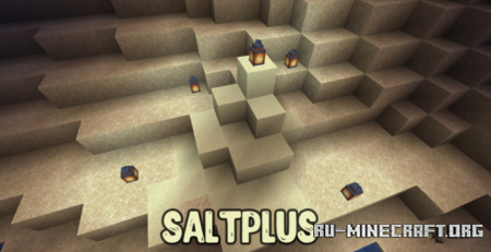  SaltPlus  Minecraft 1.14.4
