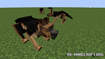  Animalium  Minecraft 1.15.2