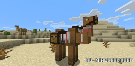  Camels  Minecraft 1.14.4