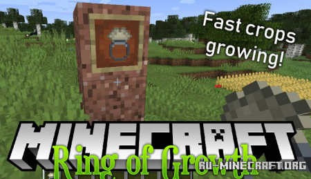  Ring of Growth  Minecraft 1.15.2