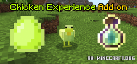  Chicken Experience  Minecraft PE 1.16