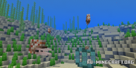  Sully's  Minecraft 1.15.2