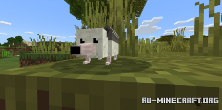 Скачать World Animals для Minecraft PE 1.16