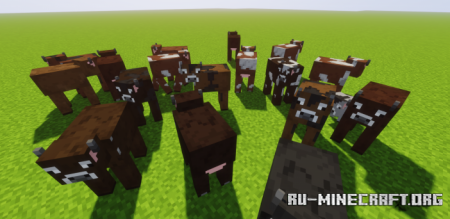  More Animal Variants  Minecraft 1.15