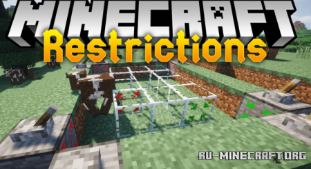 Скачать Restrictions для Minecraft 1.14.4