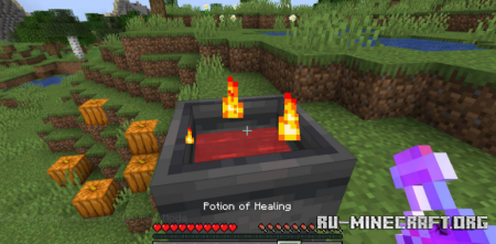  Cauldron Overhaul  Minecraft 1.16.1