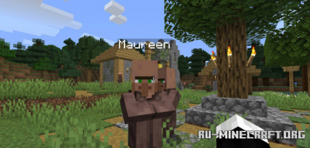  Villager Names  Minecraft 1.16.1