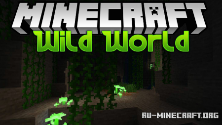  Wild World  Minecraft 1.16.1