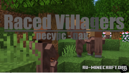 Скачать Raced Villagers для Minecraft 1.14