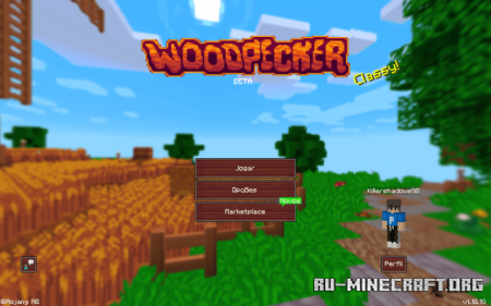  Woodpecker [16x16]  Minecraft PE 1.16