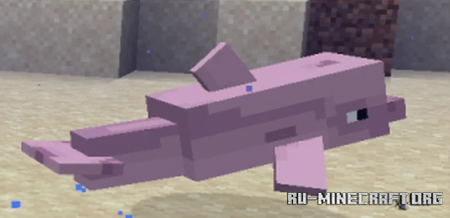  More Dolphins Varities  Minecraft 1.16