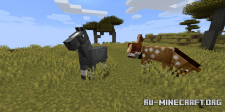  Stupid Horse Stand Still  Minecraft 1.16.2