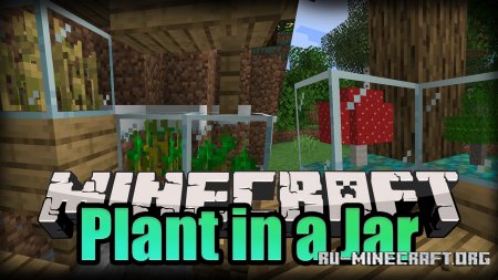  Plant In a Jar  Minecraft 1.16.2