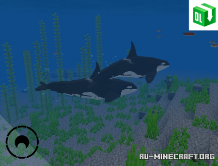  Amazing Wildlife  Minecraft PE 1.14