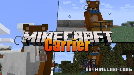  Carrier  Minecraft 1.16.3