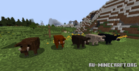  Realistic Animals  Minecraft 1.16