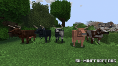  Realistic Animals  Minecraft 1.16