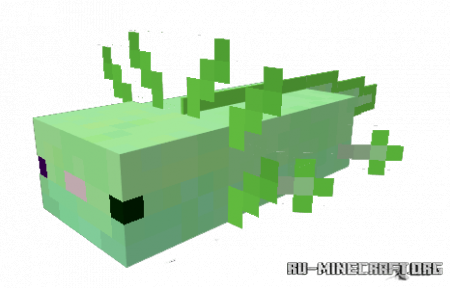  Axolotls  Minecraft PE 1.16