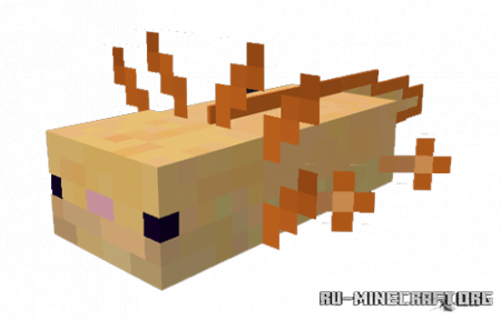  Axolotls  Minecraft PE 1.16