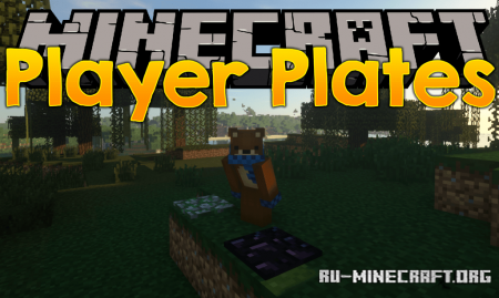  Player Plates  Minecraft 1.16.3