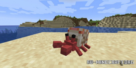  Cute Hermit Crabs  Minecraft 1.16.1