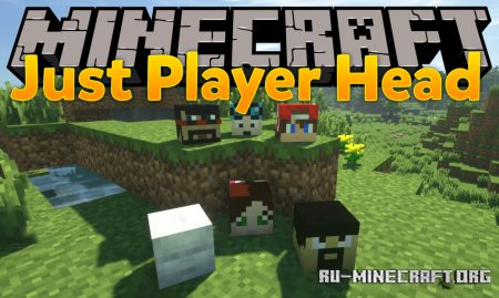  Just Player Head  Minecraft 1.16.4