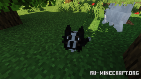  Better Dogs  Minecraft 1.15