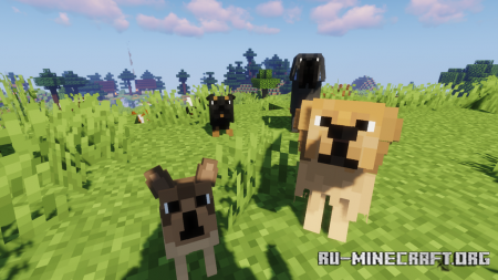  Better Dogs  Minecraft 1.15