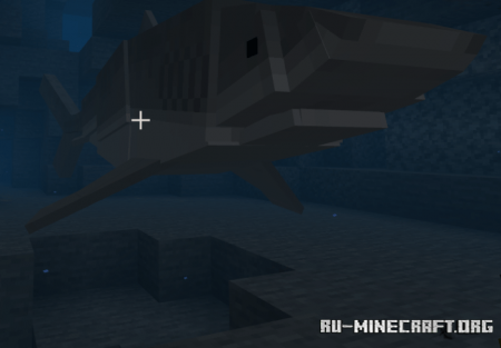  Shark Biology: The Classics  Minecraft PE 1.16