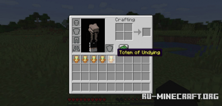  Inventory Totem  Minecraft 1.16.4