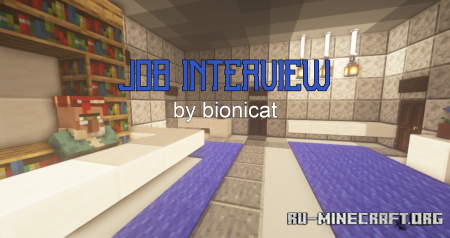  Job Interview  Minecraft