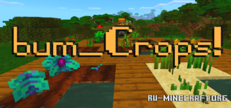  bum_Crops  Minecraft PE 1.16