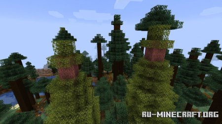  Tons of Trees  Minecraft 1.15.2